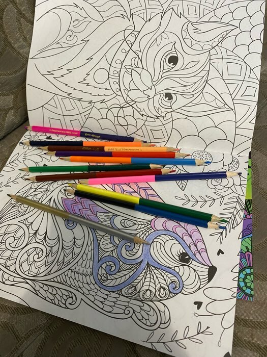 Фотография покупателя товара Цветные карандаши, 24 цвета, двусторонние, Маша и Медведь - Фото 1
