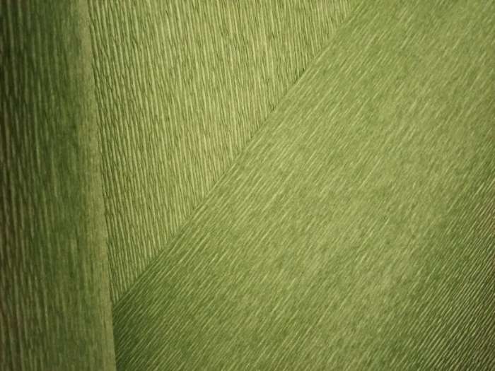 Фотография покупателя товара Бумага гофрированная, 991 "Зелёный лист", 50 см х 2,5 м - Фото 2