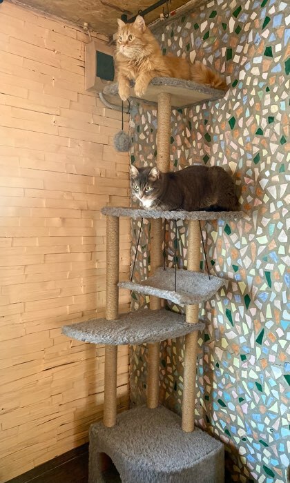 Фотография покупателя товара Комплекс для кошек с когтеточкой, угловой, с гамаком, 48 х 48 х 171 см, серый