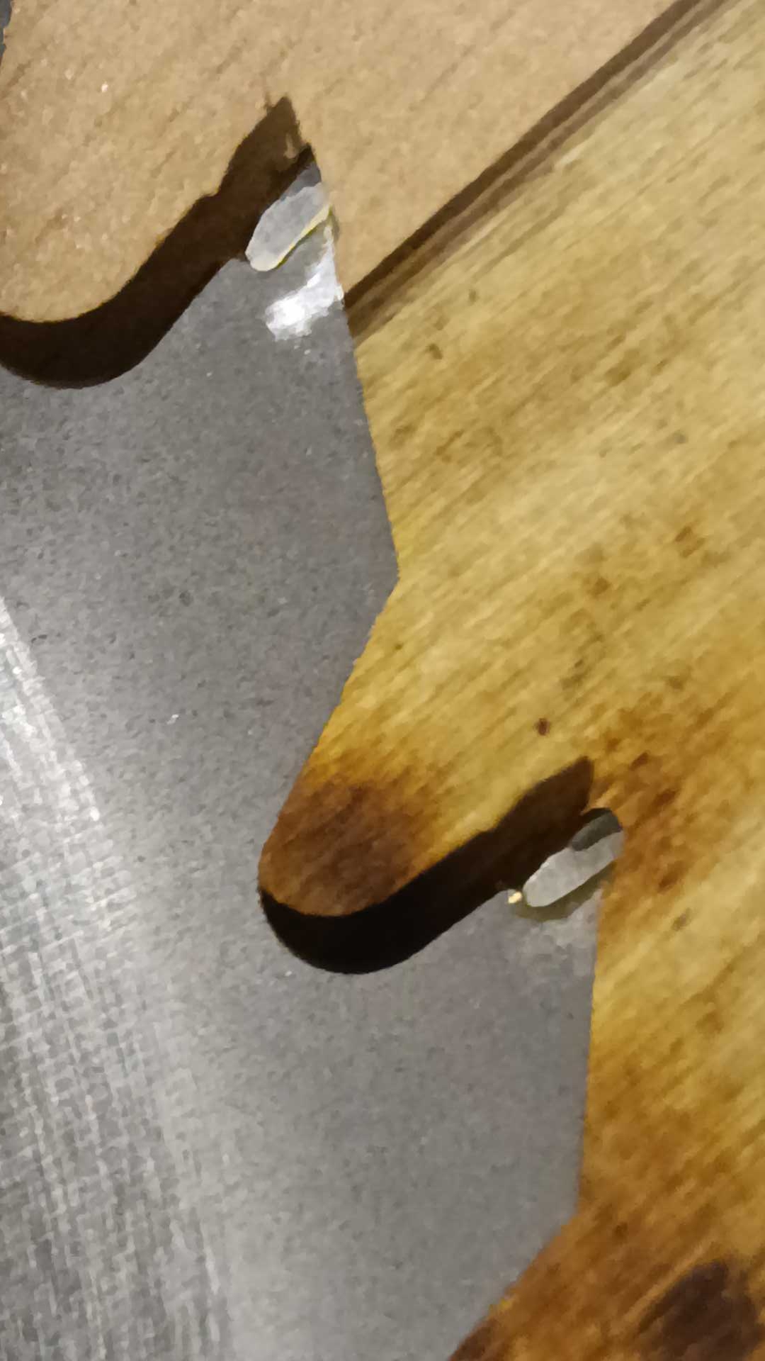 Фотография покупателя товара Диск пильный по дереву ЛОМ, быстрый рез, 190 х 30 мм (кольца на 20, 16), 24 зуба - Фото 3