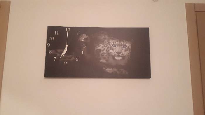 Фотография покупателя товара Часы-картина настенные, серия: Животный мир, "Леопард", 40 х 76 см - Фото 1