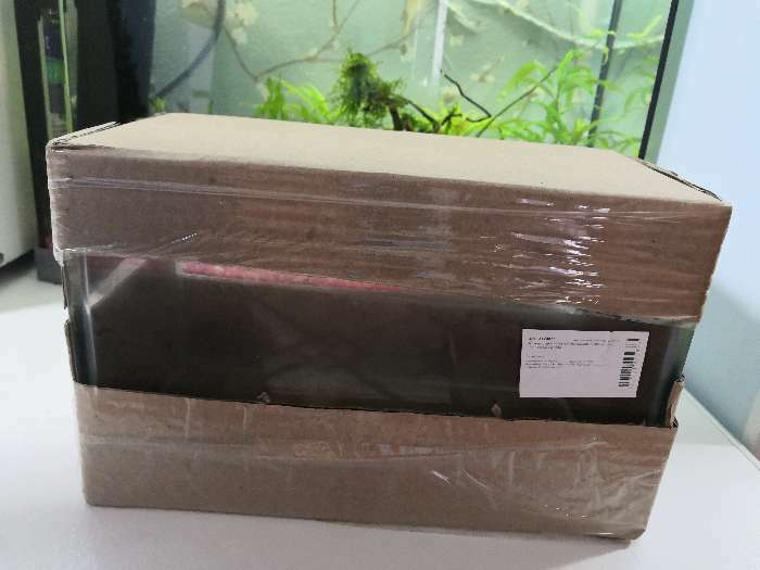 Фотография покупателя товара Аквариум "Прямоугольный" без крышки, 5 литров, 25 х 13 х 15,5 см