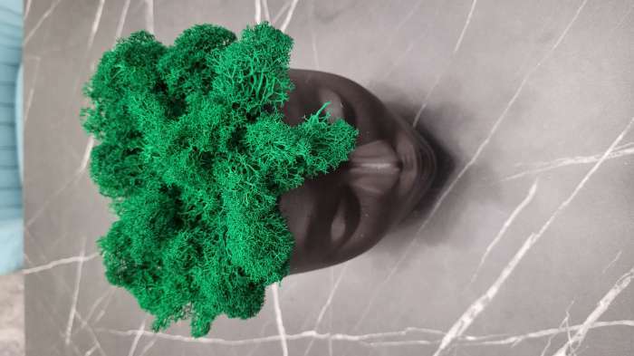 Фотография покупателя товара Мох стабилизированный «Ярко-зелёный» 45 г (±5 г) - Фото 1