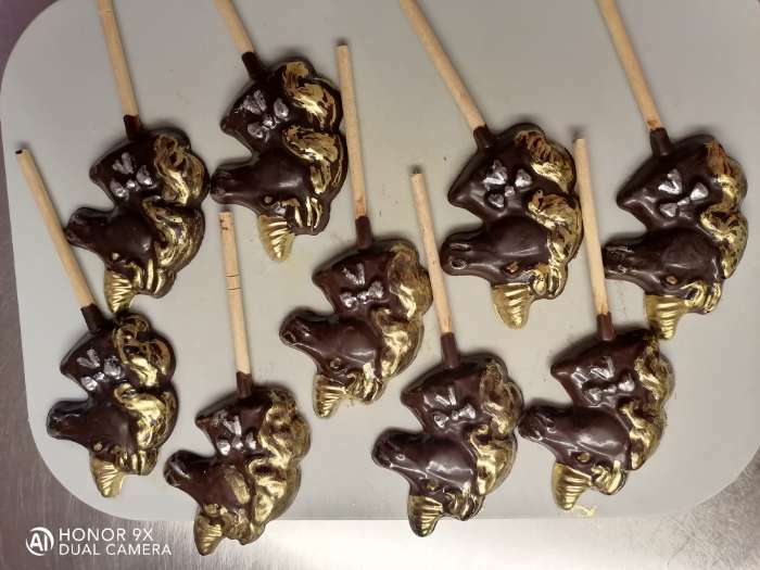 Фотография покупателя товара Форма для шоколада и конфет «Пони», 5 ячеек, 24×18.5×1 см, прозрачная - Фото 1