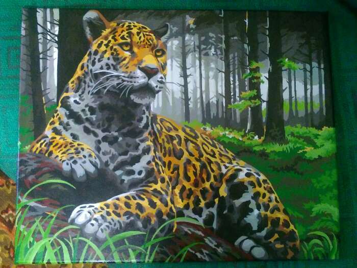 Фотография покупателя товара Картина по номерам «Леопард в лесу» 40х50 см, 24 цвета - Фото 1