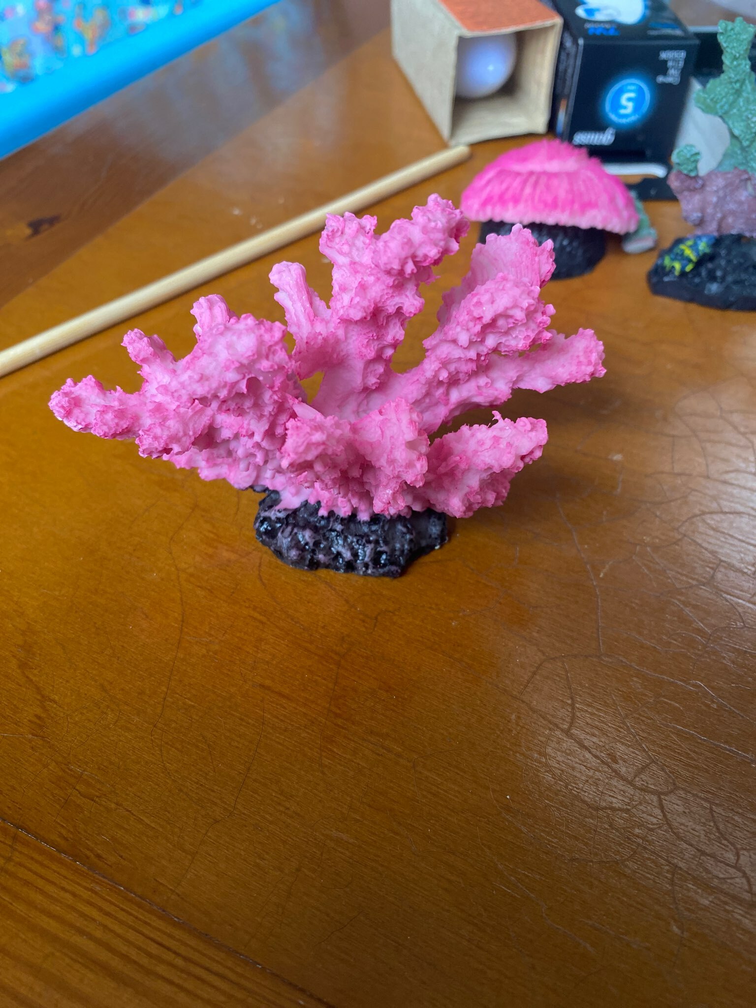 Фотография покупателя товара Декоративный коралл «Синулярия», 10×5×6.5 см - Фото 1