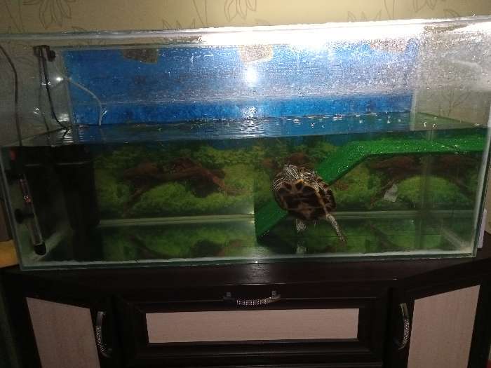 Фотография покупателя товара Мостик для черепахи односторонний №4 с травой, 51 х 20 х 21 см