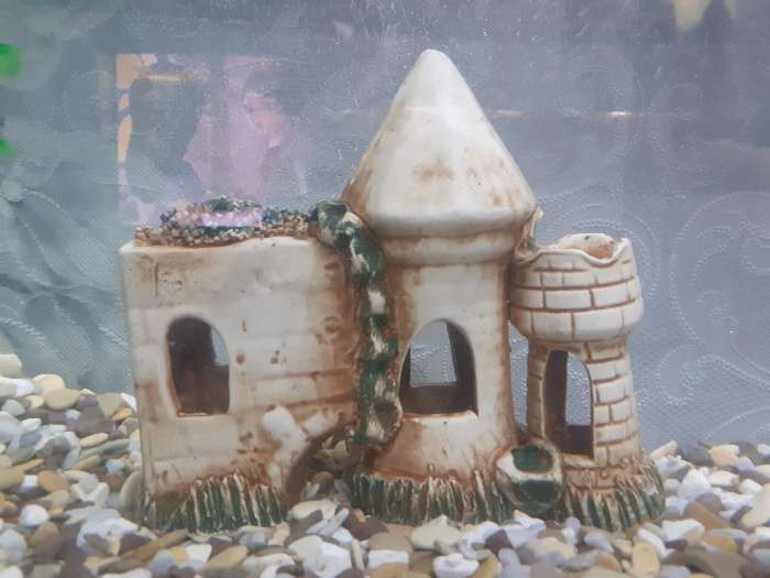 Фотография покупателя товара Декорация для аквариума "Стена с башнями'', 16 см, под шамот, микс - Фото 1