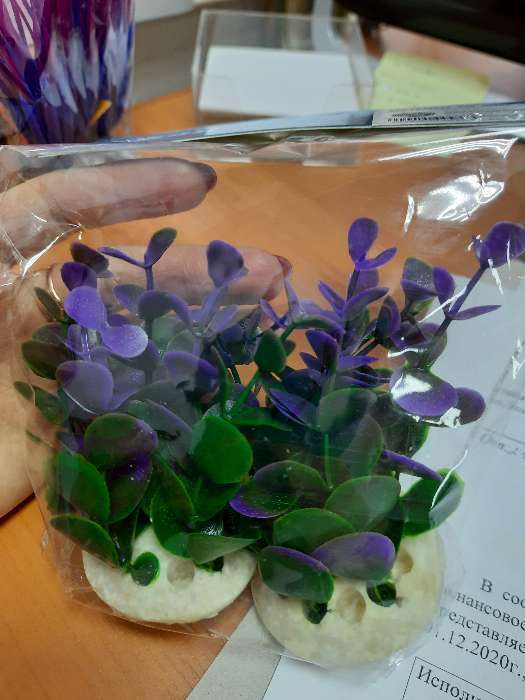 Фотография покупателя товара Растение искусственное аквариумное кустовое, 10 см, фиолетовое - Фото 6