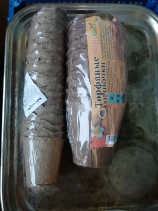 Фотография покупателя товара Горшок для рассады, 175 мл, d=8 см, h=8 см, торф, набор 20 шт., Greengo - Фото 4