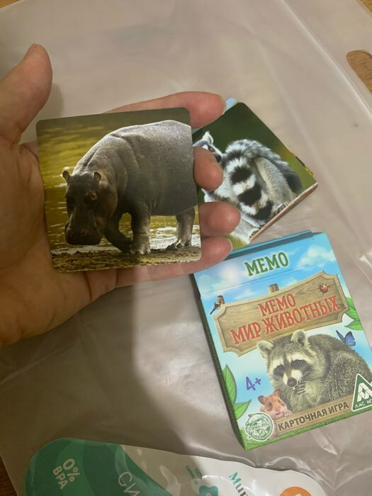 Фотография покупателя товара Настольная игра «Мемо. Мир животных», 28 карт, 3+