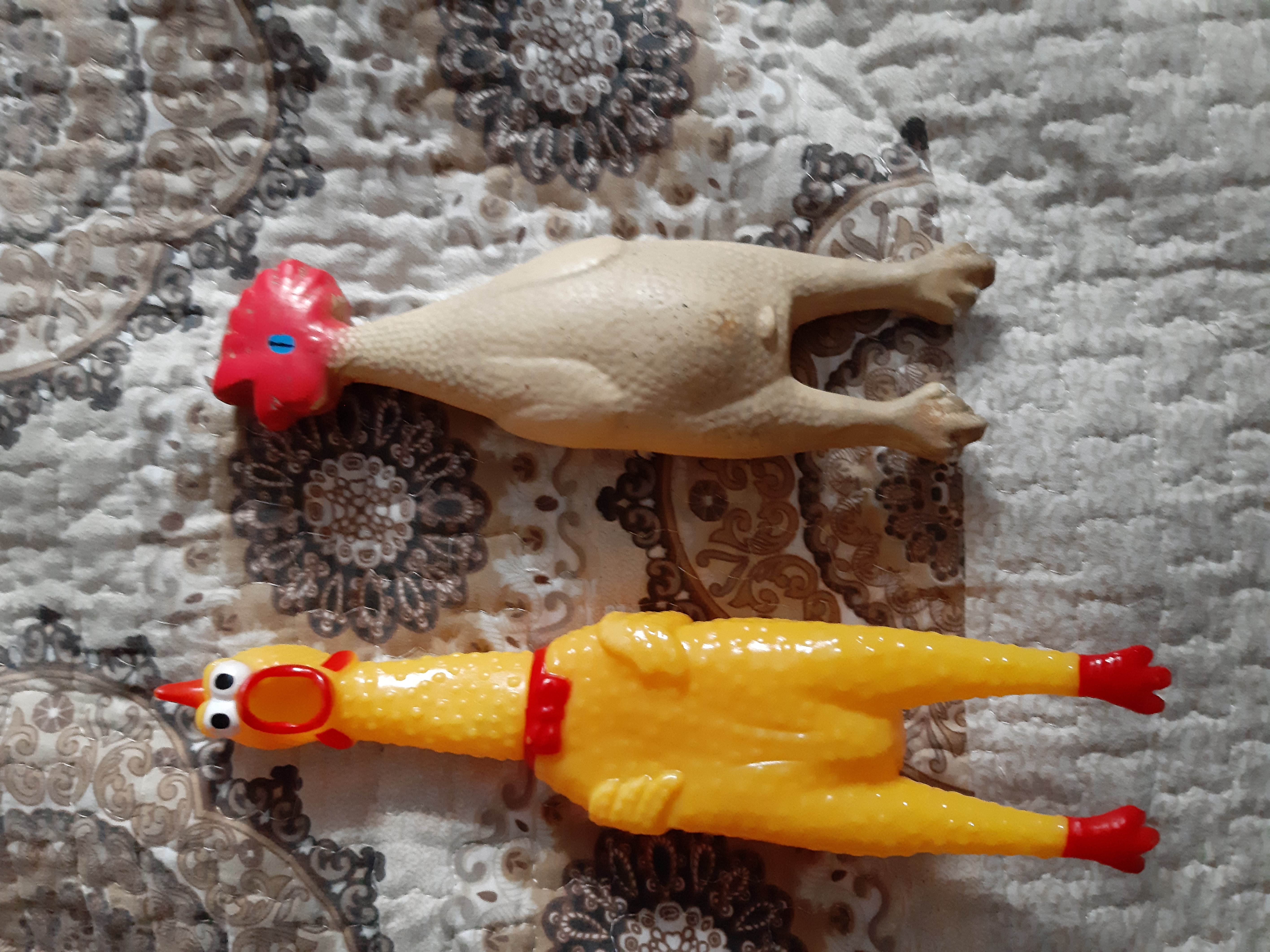 Фотография покупателя товара Игрушка пищащая "Задумчивая курица" для собак, 28 см, жёлтая