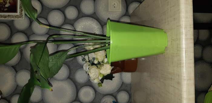 Фотография покупателя товара Горшок для цветов «Роза», 2 л, d=14 см, цвет красный - Фото 2