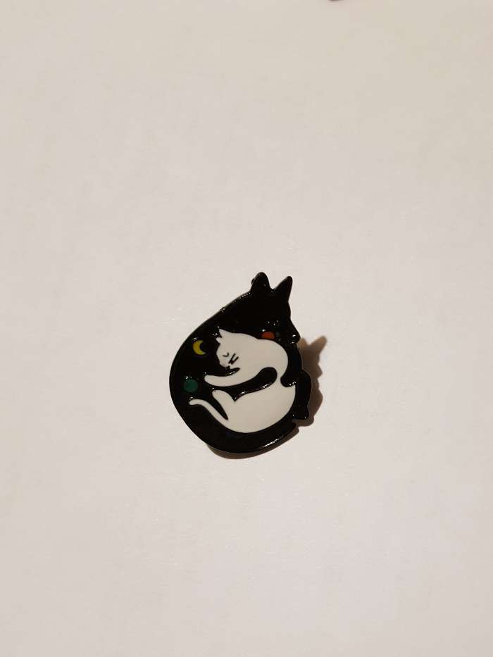 Фотография покупателя товара Значок «Кошка с собакой» дружочки, цветной в чёрном металле - Фото 1