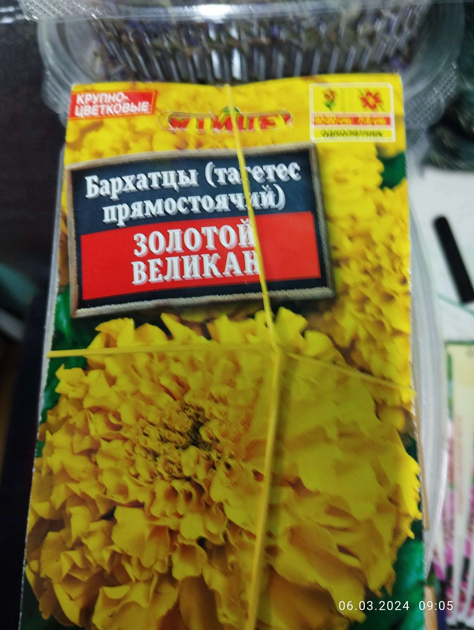 Фотография покупателя товара Семена  цветов Бархатцы "Золотой великан", О, 0,1 г - Фото 6