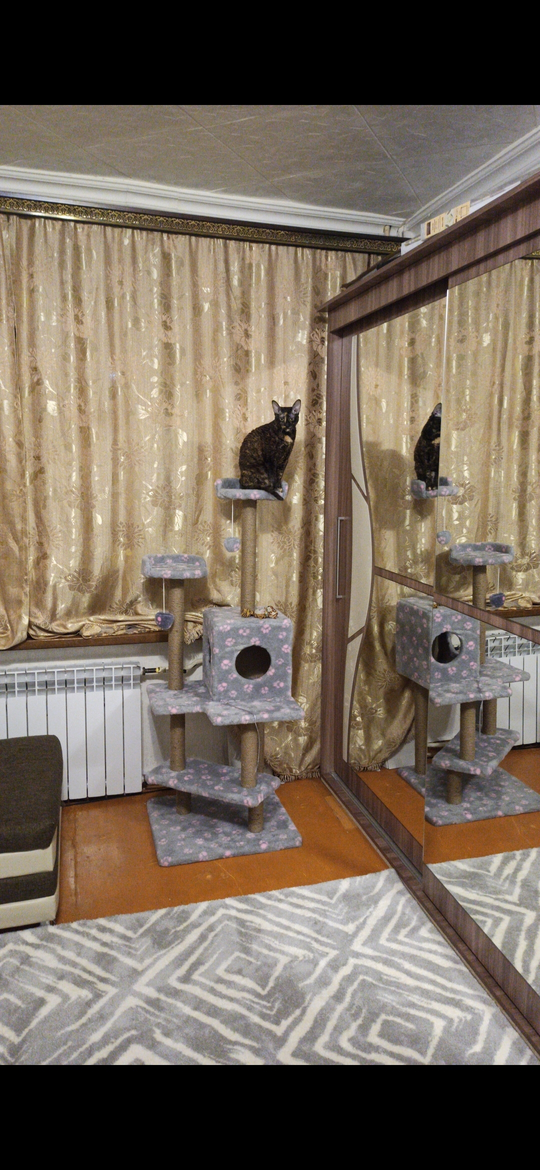 Фотография покупателя товара Комплекс для кошек "Лестница", 56 х 52 х 140 см, джут, микс цветов - Фото 9