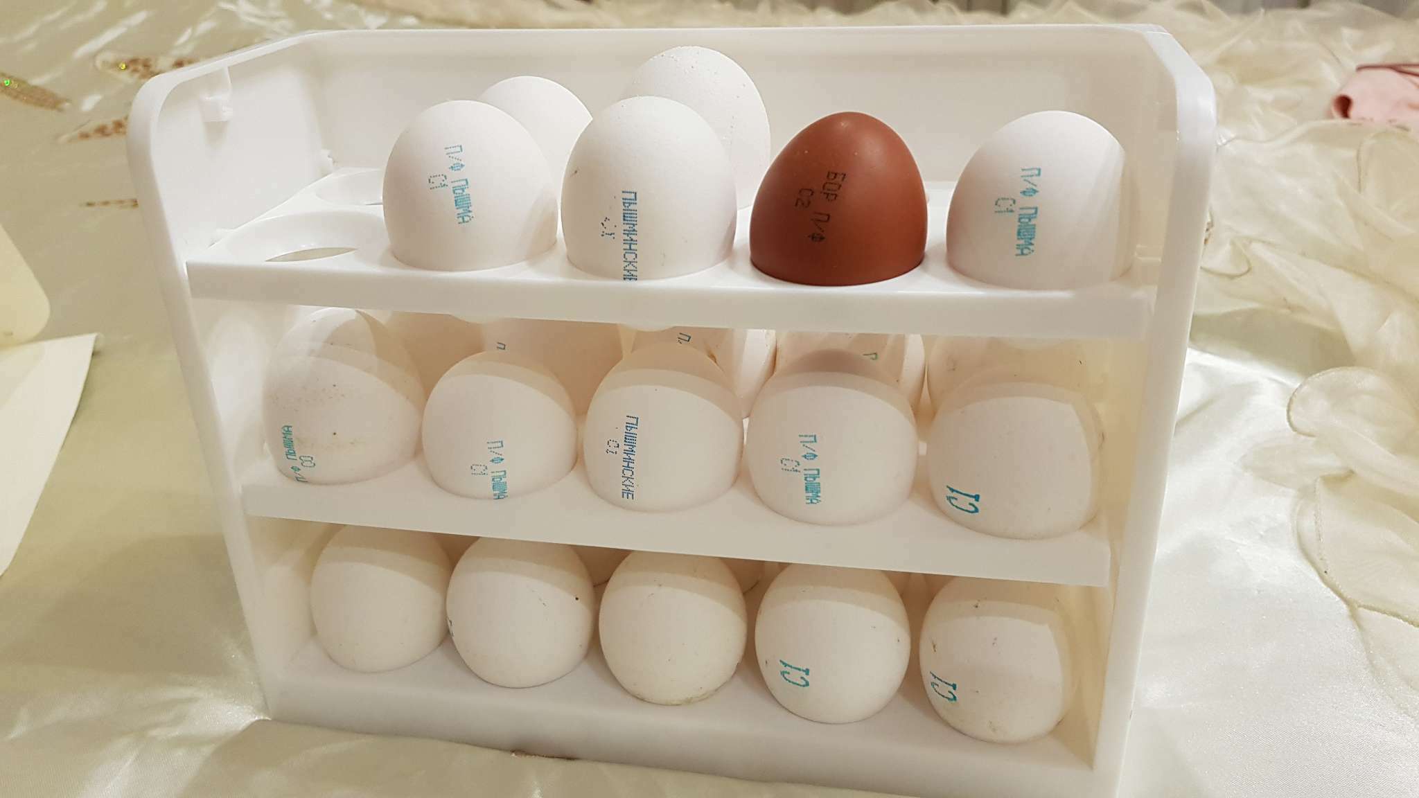 Фотография покупателя товара Контейнер для яиц, 30 ячеек, 25×10×19,5 см, цвет белый - Фото 2