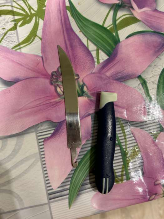 Фотография покупателя товара Нож кухонный Доляна «Страйп», лезвие 11,5 см, цвет синий - Фото 1