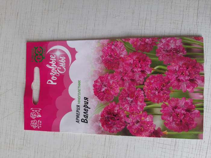 Фотография покупателя товара Семена Армерия "Валерия" (приморская),  ц/п,0,02 г, - Фото 3