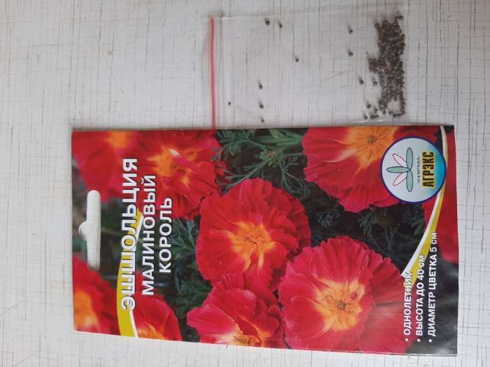 Фотография покупателя товара Семена цветов Эшшольция "Малиновый король", 0,2 г - Фото 1