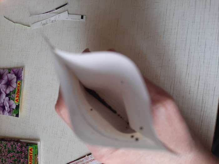 Фотография покупателя товара Семена цветов Эшшольция «Клюквенный морс», 0.2 г, «Гавриш» - Фото 2