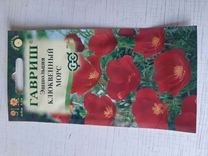 Фотография покупателя товара Семена цветов Эшшольция «Клюквенный морс», 0.2 г, «Гавриш» - Фото 4