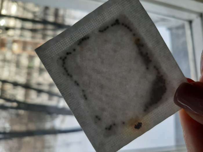 Фотография покупателя товара Семена цветов Эшшольция «Красный Вождь», 0.2 г, «Семена Алтая» - Фото 1