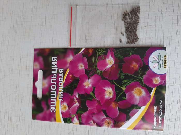 Фотография покупателя товара Семена Цветов однолетние Эшшольция "Лиловая", 0,2 г - Фото 5