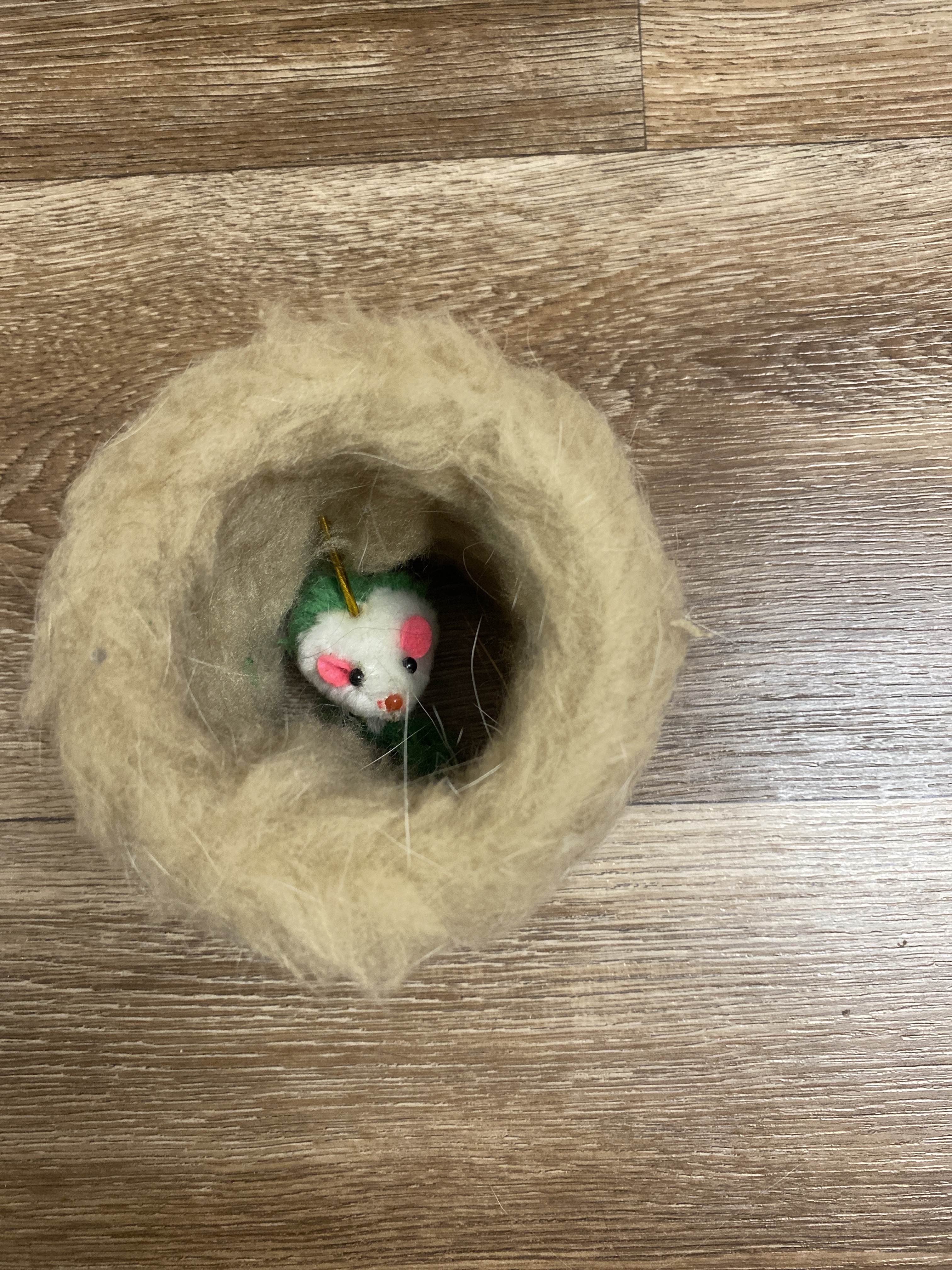 Фотография покупателя товара Игрушка-когтеточка с мышкой, джут и ковролин, 10 х 10 см микс цветов