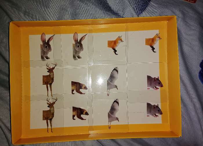 Фотография покупателя товара Умное лото «Изучаем животных» собери целое, Маша и Медведь - Фото 2