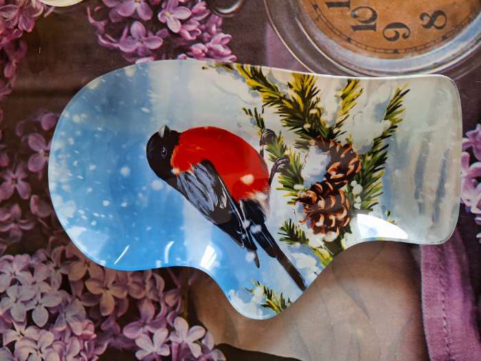 Фотография покупателя товара Блюдо новогоднее сервировочное Доляна «Рукавица. Снегирь», 22.5×14 см, стекло - Фото 1