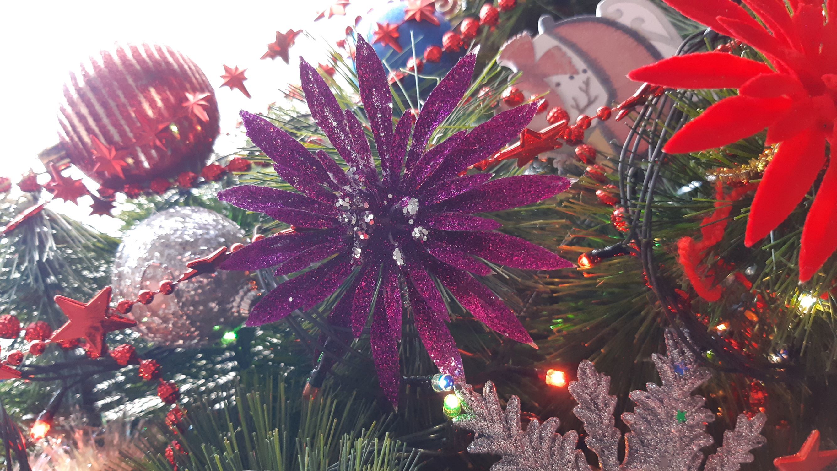 Фотография покупателя товара Украшение ёлочное "Пышный цветок" (набор 3 шт) 10 см, фиолетовый - Фото 15