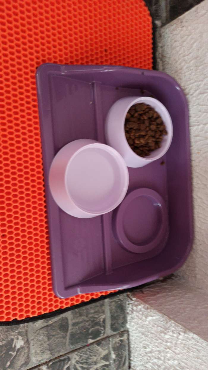 Фотография покупателя товара Миски с лотком "Феликс" 0,3 л, 41 x 30 x 6 см, фиолетовый лоток, белые миски