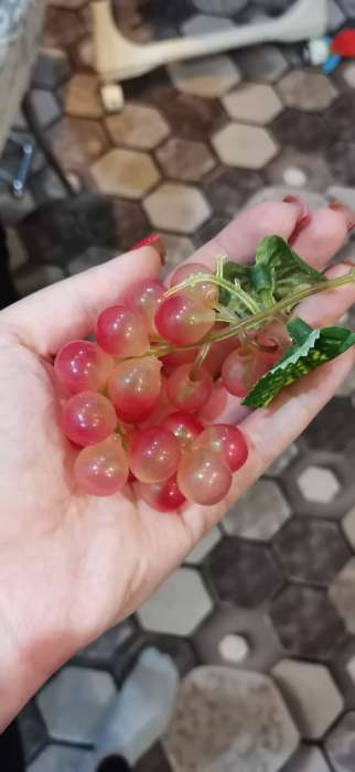 Фотография покупателя товара Муляж "Виноград" глянец, 22 ягоды 12 см, микс - Фото 1