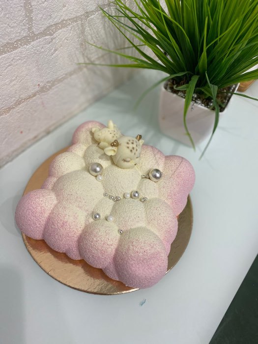 Фотография покупателя товара Форма для муссовых десертов и выпечки Доляна «Воздушные пузыри», 19×19×5,5 см, цвет белый - Фото 4