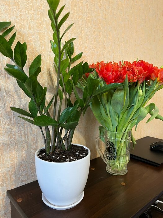 Фотография покупателя товара Горшок цветочный "Колор Гейм" красный, 5 л - Фото 3