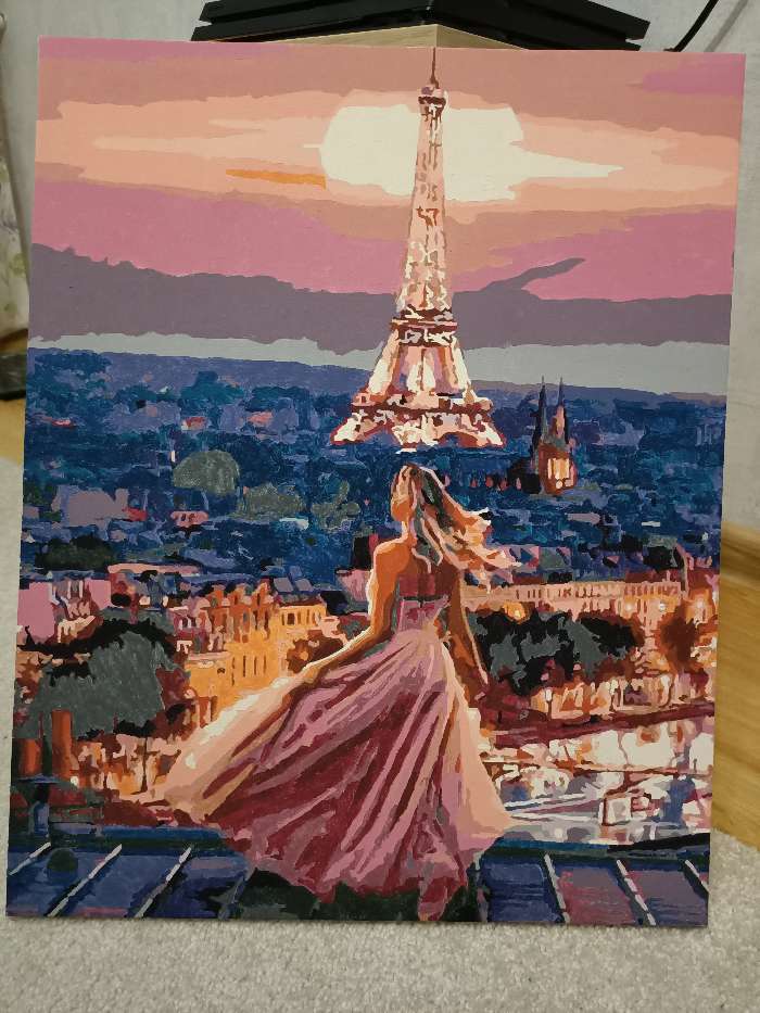 Фотография покупателя товара Картина по номерам «На крыше в Париже» 40×50 см - Фото 1