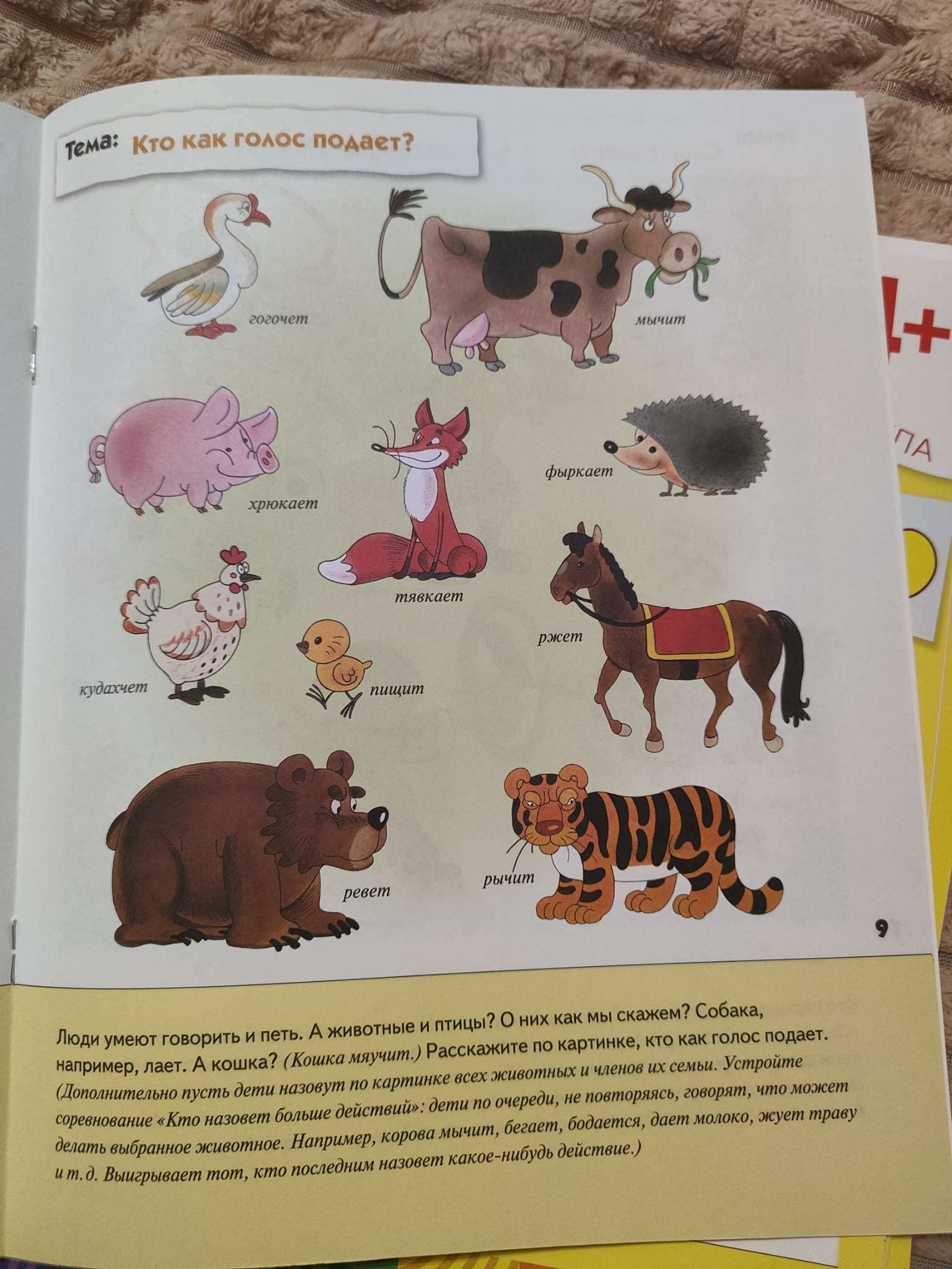 Фотография покупателя товара Рабочие тетради «Математика, прописи, развитие речи, уроки грамоты», средняя группа 4+, набор 4 шт. - Фото 6