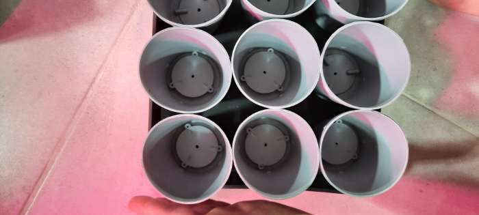 Фотография покупателя товара Набор для рассады: стаканы по 250 мл (18 шт.), поддон 40 × 20 см, цвет МИКС, Greengo