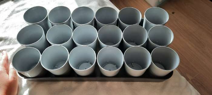Фотография покупателя товара Набор для рассады: стаканы по 250 мл (18 шт.), поддон 40 × 20 см, цвет МИКС, Greengo - Фото 15