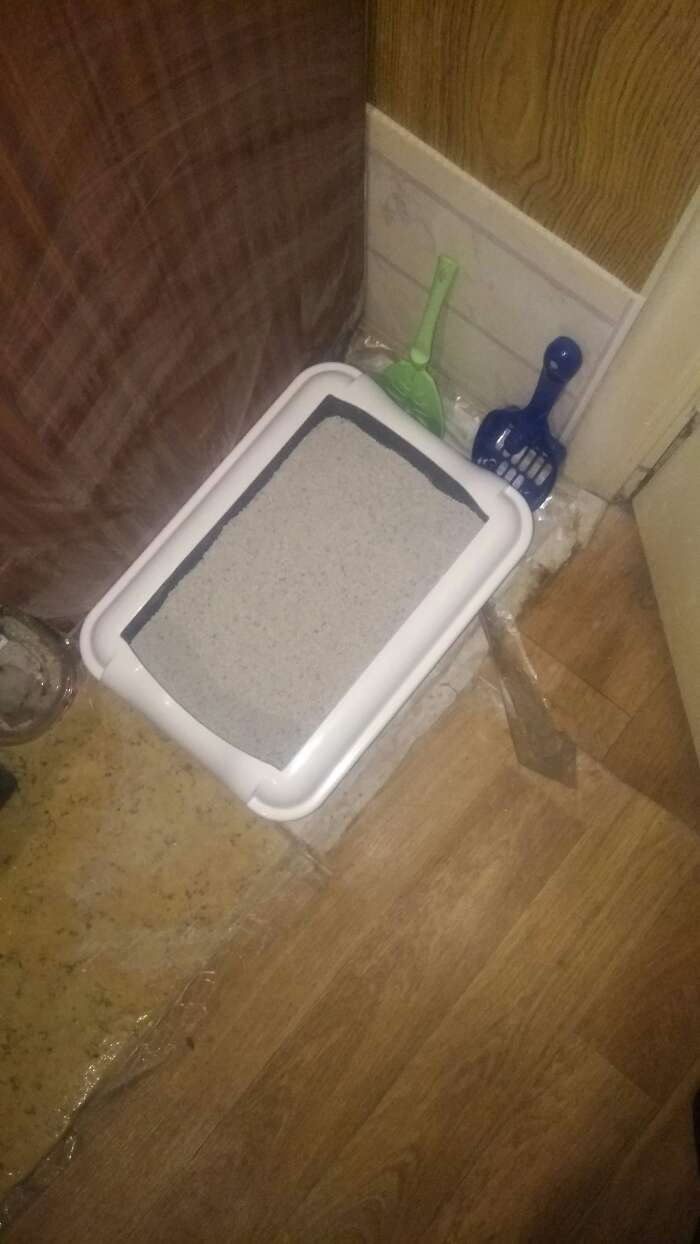Фотография покупателя товара Туалет с бортом "Бэлла", 37 х 27 х 11,5 см, серый - Фото 16