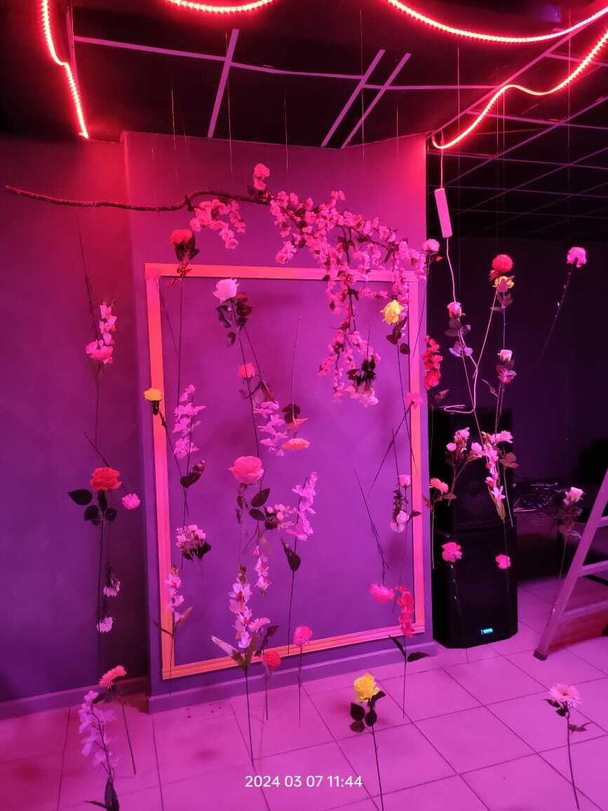 Фотография покупателя товара Цветы искусственные "Астра махровая" 46х10 см, розовый - Фото 1