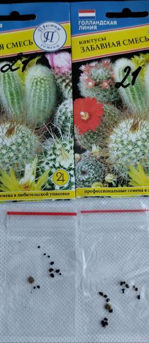 Фотография покупателя товара Семена цветов Кактусы "Забавная смесь", 0,05 гр - Фото 1