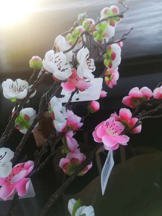 Фотография покупателя товара Цветы искусственные "Веточка сакуры" 2,5х42 см, розовый - Фото 10