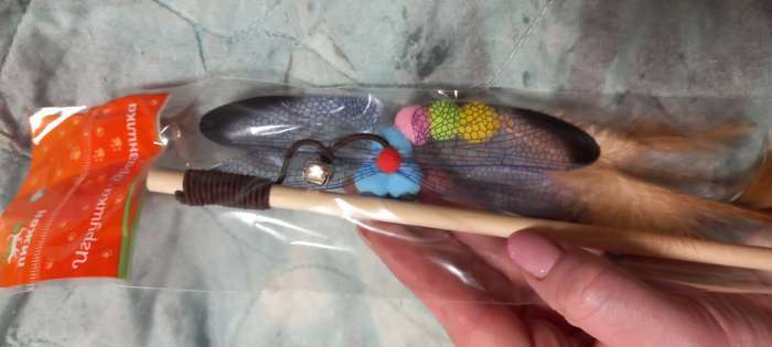 Фотография покупателя товара Дразнилка-удочка "Стрекоза", деревянная палочка 40 см, микс цветов - Фото 4