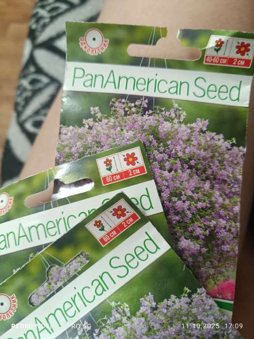 Фотография покупателя товара Семена Цветов Бакопа Блутопия --- Одн (драже в пробирке) Сел. PanAmerican Seed 3шт Ц/П - Фото 8