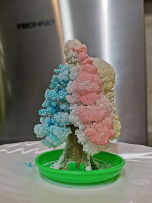 Фотография покупателя товара Набор для выращивания кристалла «Волшебное дерево» цвет разноцветный - Фото 2