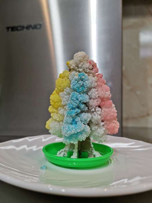 Фотография покупателя товара Набор для выращивания кристалла «Волшебное дерево» цвет разноцветный - Фото 1
