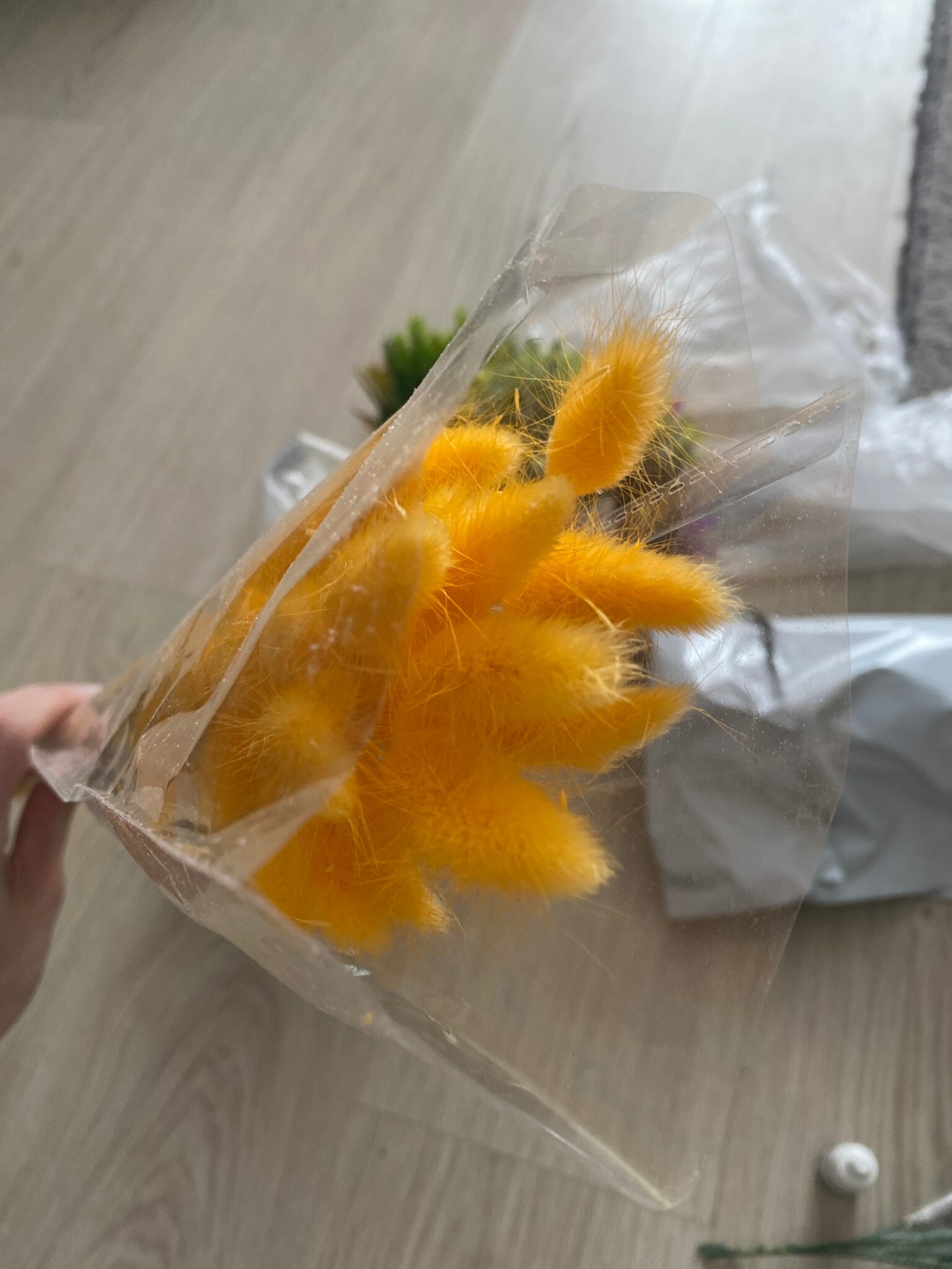 Фотография покупателя товара Сухоцветы «Лагурус», h=65 см, (фасовка 30 шт., цена за 1 шт.), бежевые - Фото 2