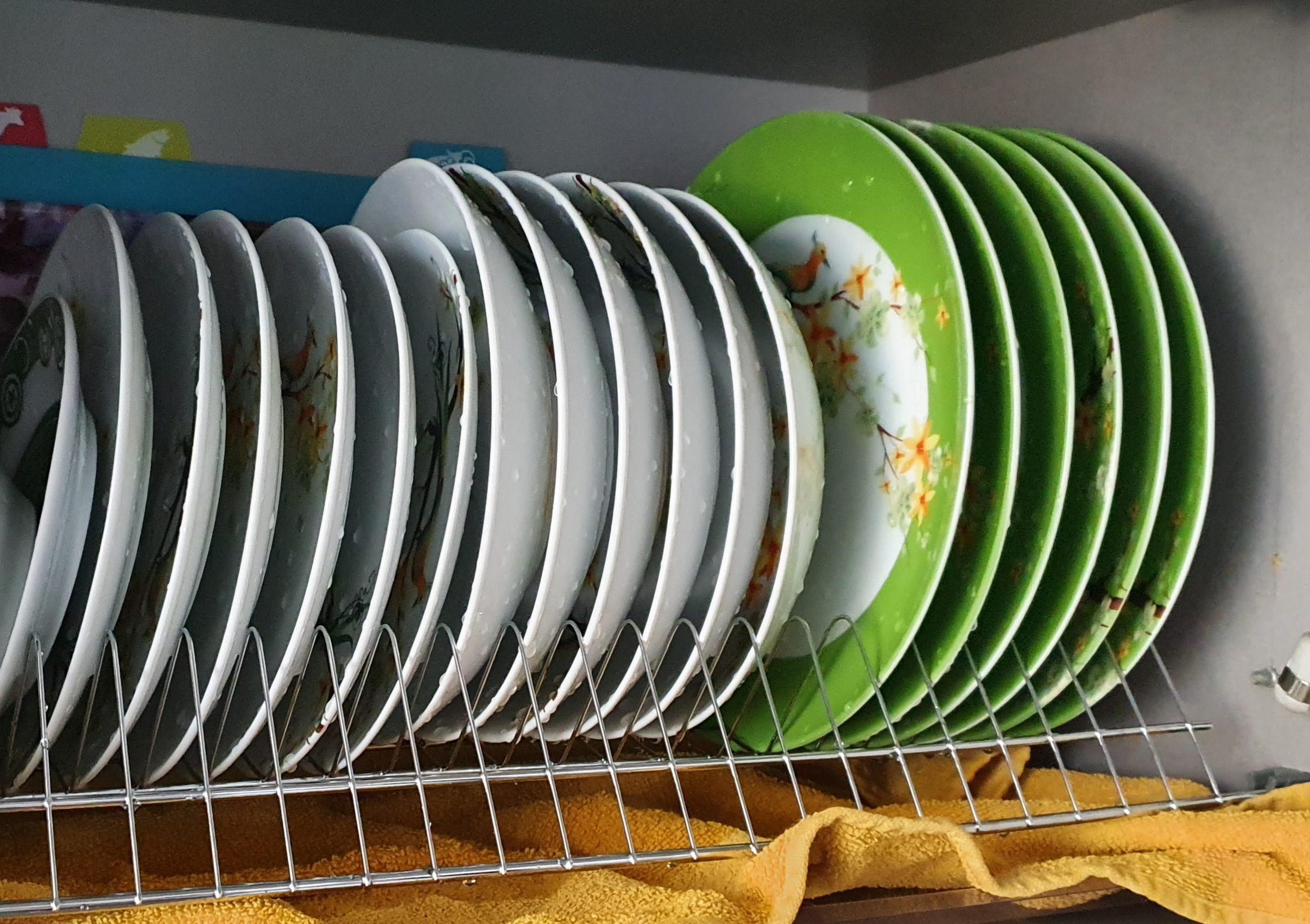 Фотография покупателя товара Сервиз столовый Paradise Bird, 19 предметов: тарелка десертная 6 шт, тарелка обеденная 6 шт, тарелка глубокая для супа 6 шт, салатник 1 шт - Фото 6